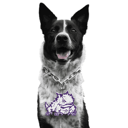 TCU Horned Frogs Pet Fan Chain