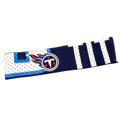 Tennessee Titans FanBand