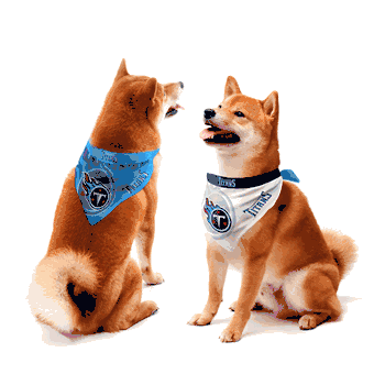 Tennessee Titans Home and Away Pet Bandana Set Large
