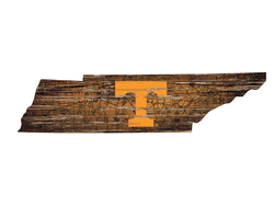 Tennessee Volunteers Distressed State with Logo