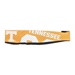 Tennessee Volunteers FanBand