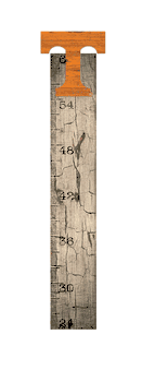 Tennessee Volunteers Growth Chart Sign 6x36