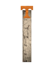 Tennessee Volunteers Growth Chart Sign 6x36