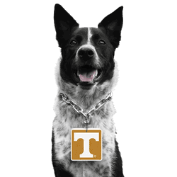 Tennessee Volunteers Pet Fan Chain