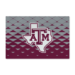 Texas A&M Aggies NCAA Dropzone Washable Rug 20X32 Inches