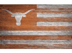 Texas Longhorns Distressed Flag 11x19