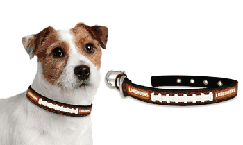 Texas Longhorns Dog Collar - Small