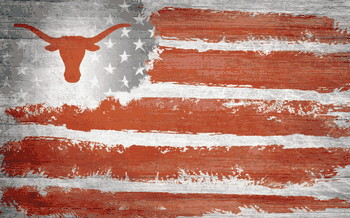 Texas Longhorns Flag 11x19