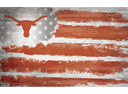 Texas Longhorns Flag 11x19