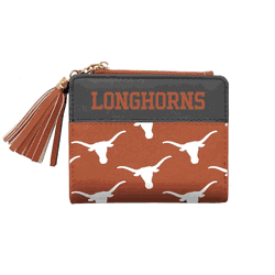 Texas Longhorns Mini Organizer