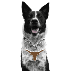 Texas Longhorns Pet Fan Chain