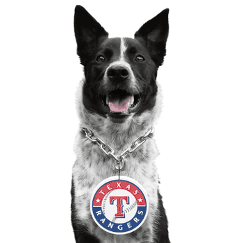 Texas Rangers Pet Fan Chain