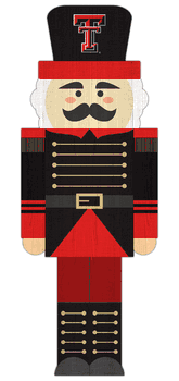 Texas Tech Red Raiders 31