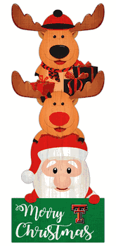 Texas Tech Red Raiders 31