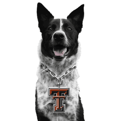 Texas Tech Red Raiders Pet Fan Chain