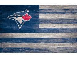Toronto Blue Jays Distressed Flag 11x19