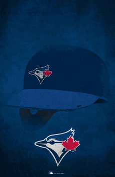 Toronto Blue Jays Ghost Helmet 17x26