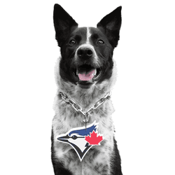 Toronto Blue Jays Pet Fan Chain