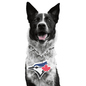Toronto Blue Jays Pet Fan Chain