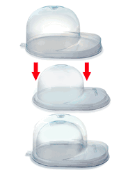 Ultra Pro Baseball Cap Display