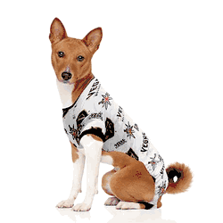 Vegas Golden Knights Pet PJs XL