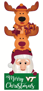 Virginia Tech Hokies 31