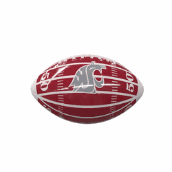 WA State Field Mini-Size Glossy Football