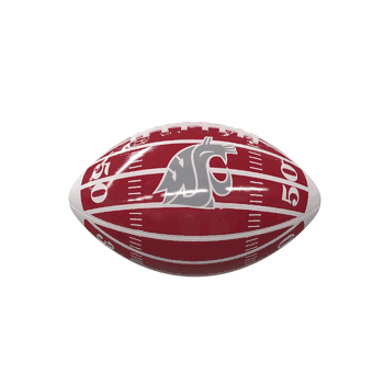 WA State Field Mini-Size Glossy Football