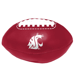 WA State Micro Soft Football
