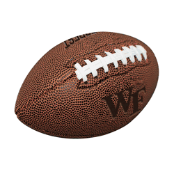 Wake Forest Demon Deacons Mini Size Composite Football