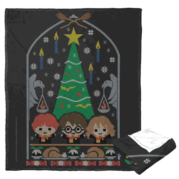 Warner Bros. Harry Potter Celebrating Together Silk Touch Throw Blanket 50x60 Inches