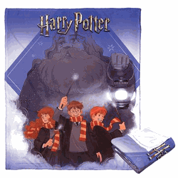 Warner Bros. Harry Potter Guide Us Hagrid Silk Touch Throw Blanket 50x60 Inches