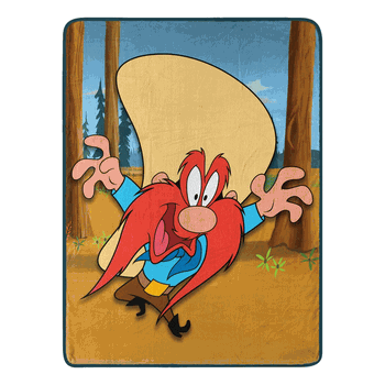Warner Bros. Looney Tunes Namby Bamby Micro Raschel Throw Blanket 46x60 Inches