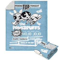 Warner Bros. Powerpuff Girls Sock It To Em Silk Touch Sherpa Throw Blanket 50x60 Inches