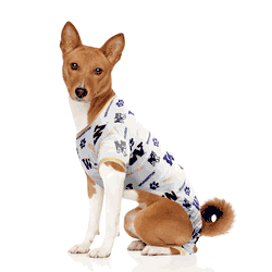 Washington Huskies Pet PJs Large