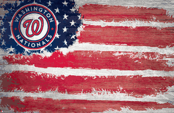 Washington Nationals Flag 17x26