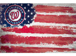 Washington Nationals Flag 17x26