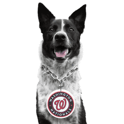 Washington Nationals Pet Fan Chain