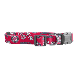 Washington Nationals Pet Team Collar  - Large