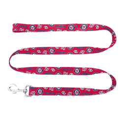 Washington Nationals Pet Team Lead  - Medium