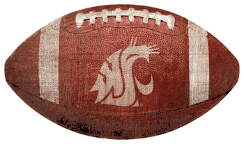 Washington State Cougars 12
