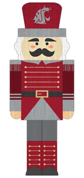 Washington State Cougars 31