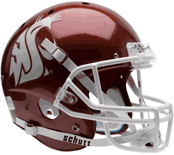 Washington State Cougars