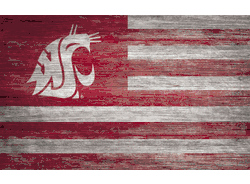 Washington State Cougars Distressed Flag 11x19