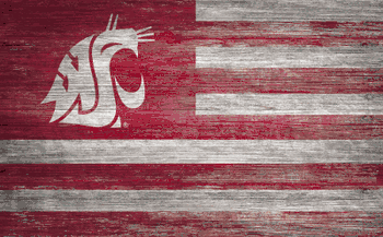 Washington State Cougars Distressed Flag 11x19