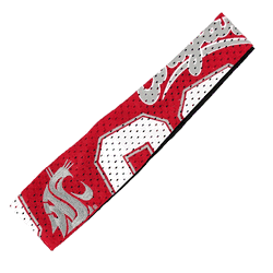 Washington State Cougars FanBand