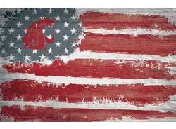 Washington State Cougars Flag 17x26