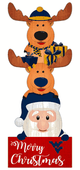 West Virginia Mountaineers 31