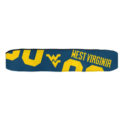 West Virginia Mountaineers FanBand