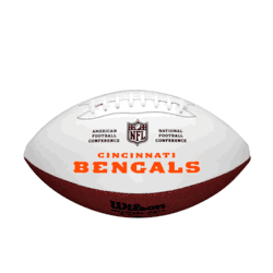 Full Size Autograph Footballs